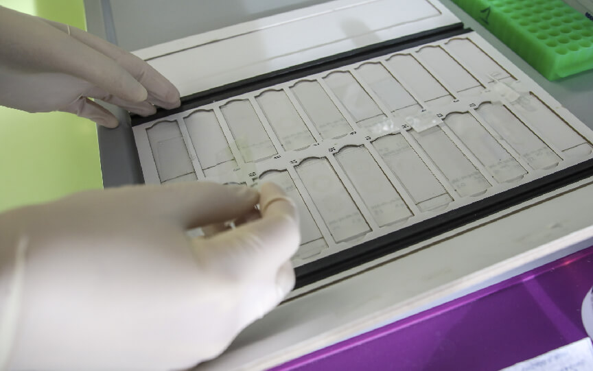 Monasterium Laboratory biobank