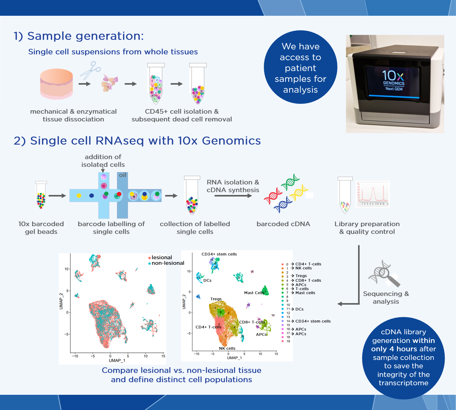 Service Single Cell Rna Sequencing Monasterium Laboratory Service Single Cell Rna Sequencing Monasterium Laboratory
