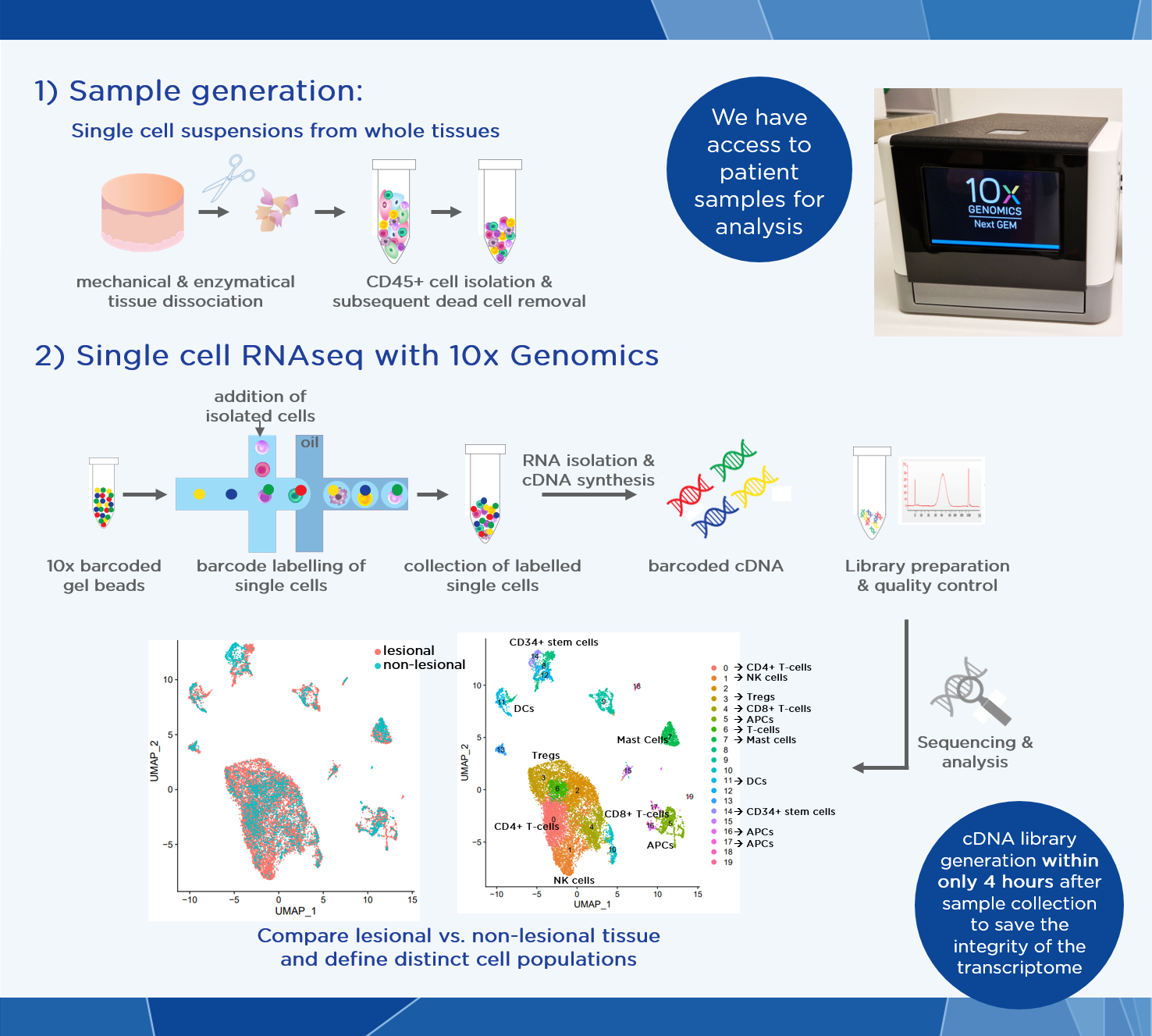 scRNAseq