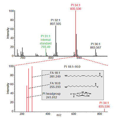 Multi-Omics analysis