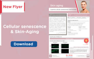 New flyer on Cellular senescence & Skin aging