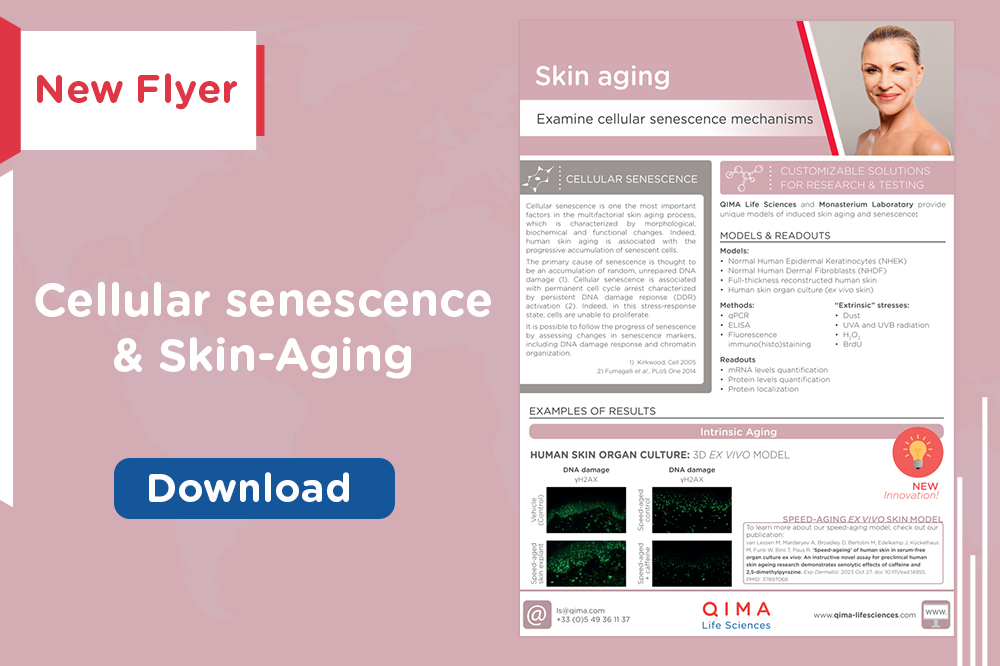 New flyer on Cellular senescence & Skin aging